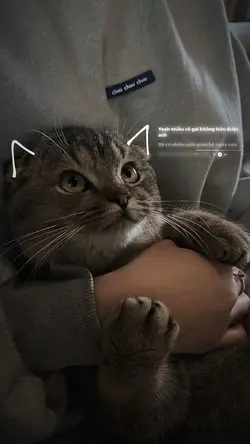 1 ẢNH MÀU + LYRIC