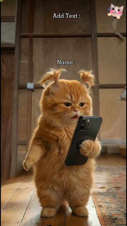 Cute cat singing 