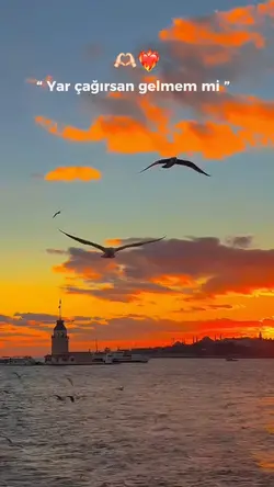 Yar çağırsa gelmemmi