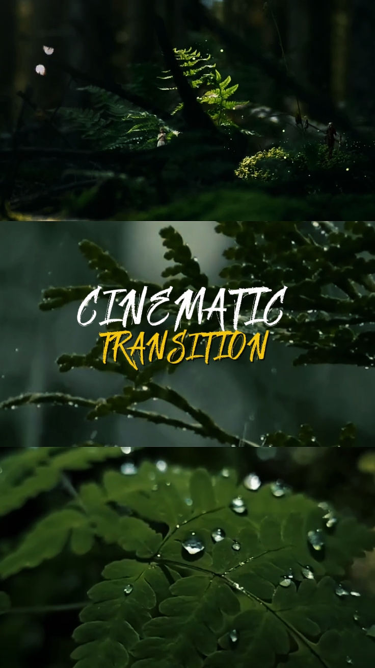 TRANSIÇÃO CINEMÁTICA