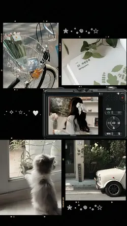 supernatural 5 frame