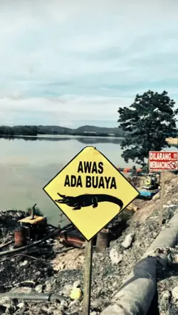 awas ada buaya