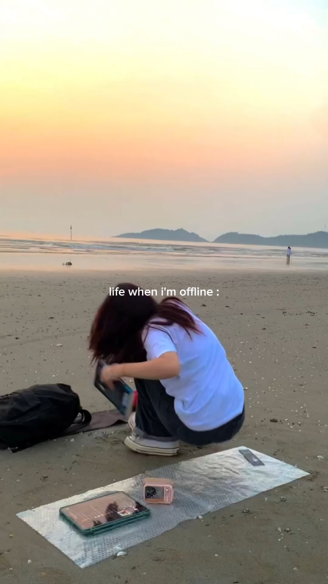 Vida quando estou offline