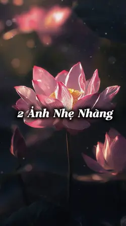 2 Ảnh Nhẹ Nhàng 🥰