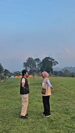 Vlog ost sore