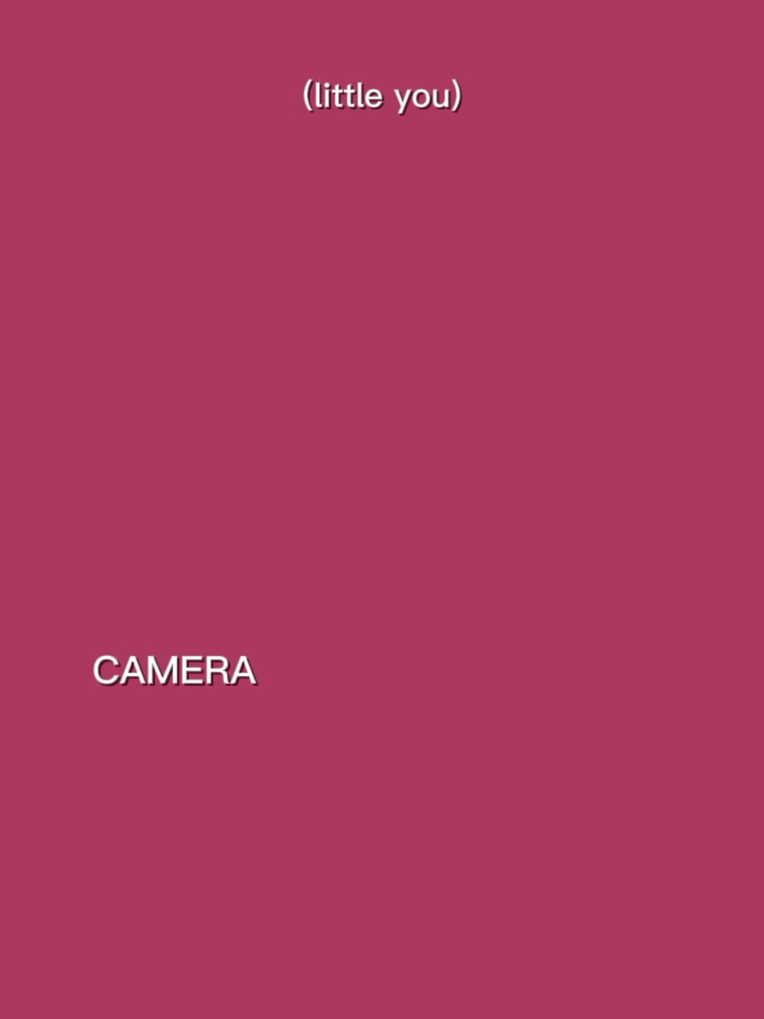 Lights camera action