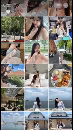 여름의 예쁜 사진들📷🌿