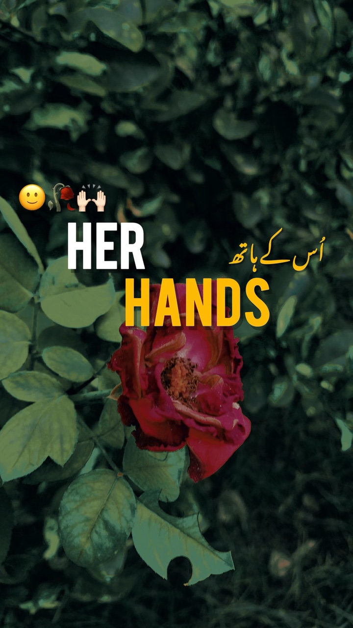 Her hands!