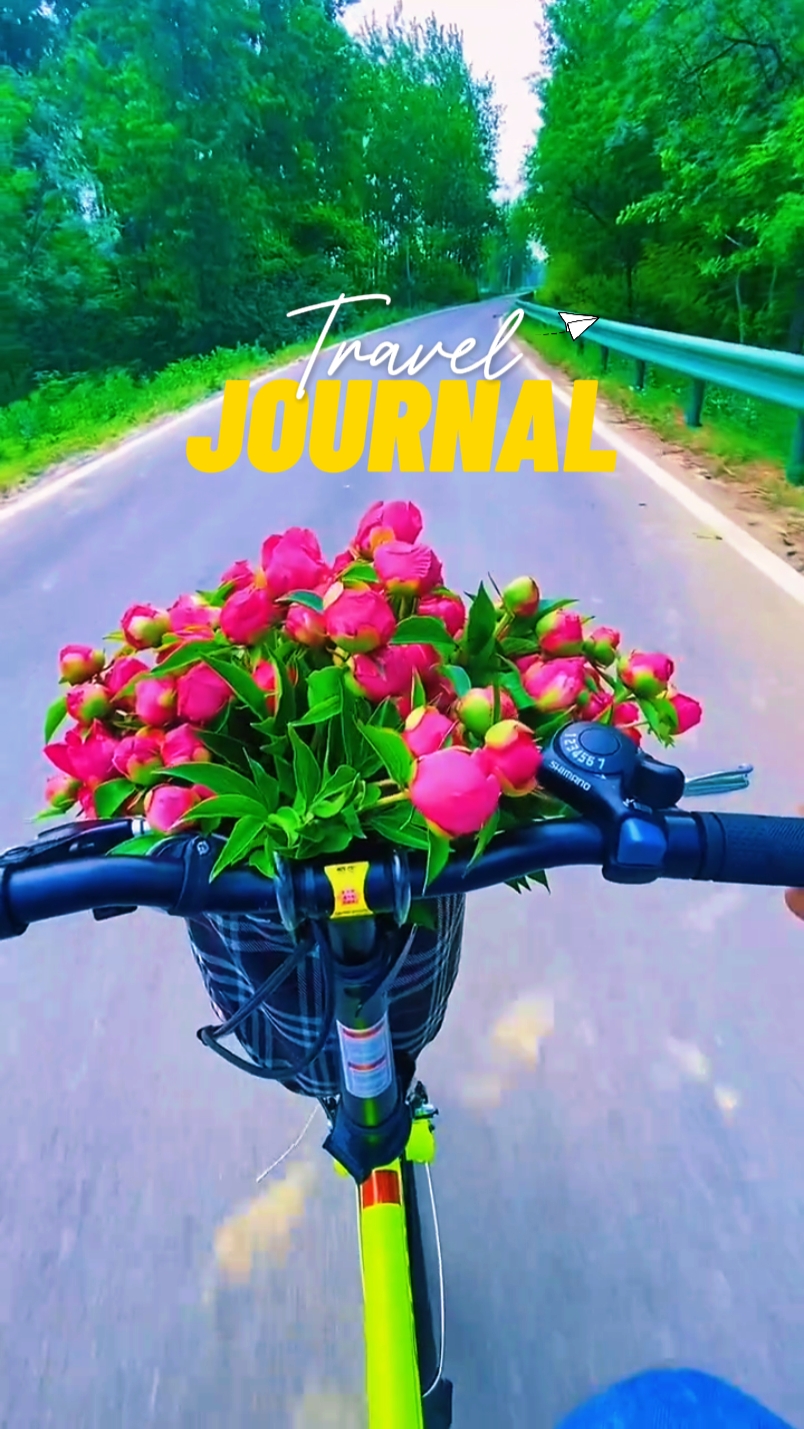 travel journal