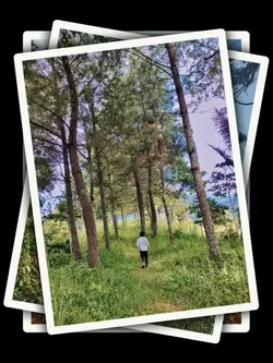 12PicFrame Aesthetic