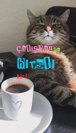 Çalışan Biri"
