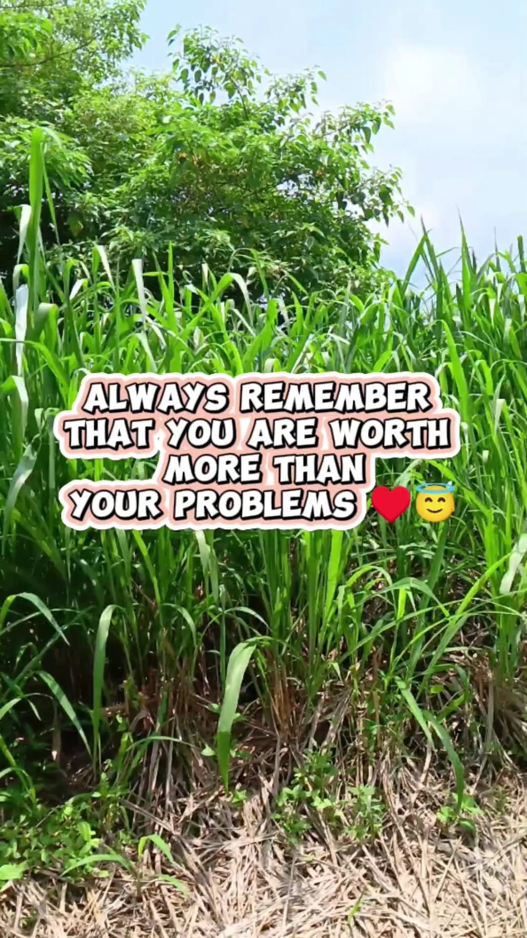 motivasyon 