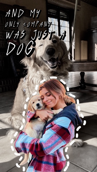 APENAS um cachorro 🐶