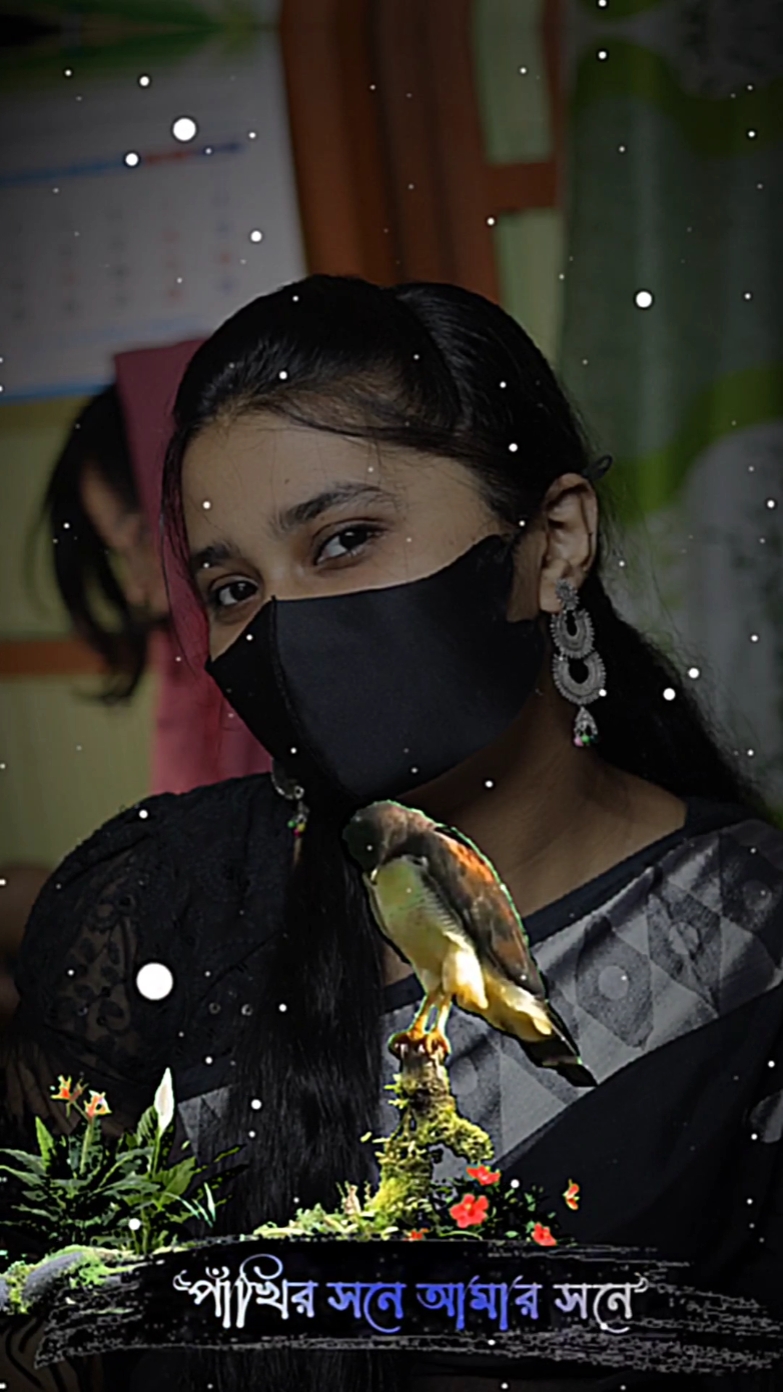 পাখির সনে আমার সনে 