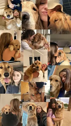 My pets 