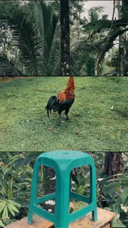 Cinematic transition