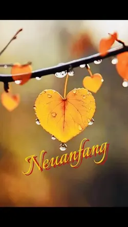 Neuanfang 🍁🍂