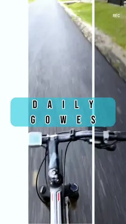 Daily Gowes