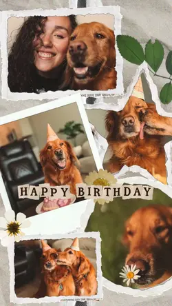 Birthday my dog 