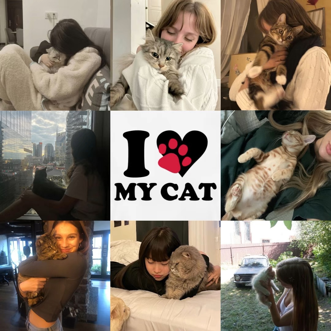 나는 <3 내 고양이