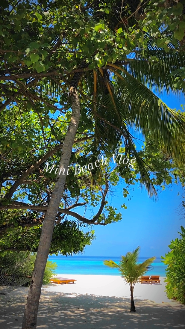Mini Beach Vlog 