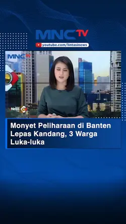 Monyet Kabur