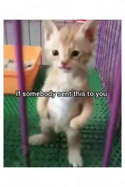 206