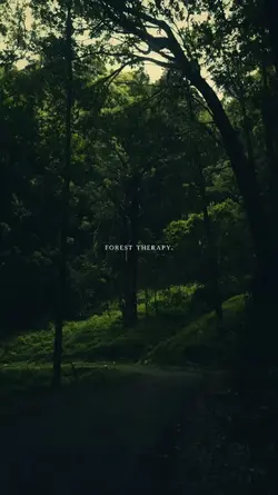 FOREST THERAPY.