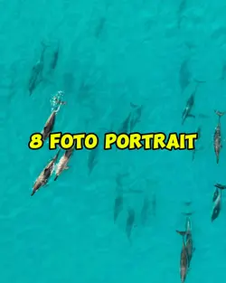 8 foto portrait