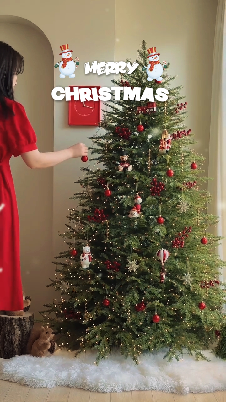 Feliz Navidad 