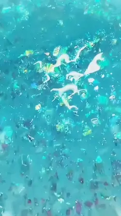 떡상 주세요 ㅜ