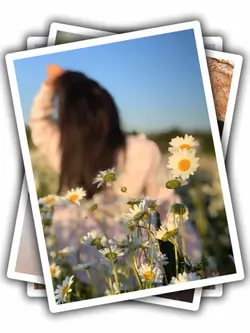 9Pic Clip Transition