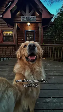 ยินดีที่ได้รู้จัก