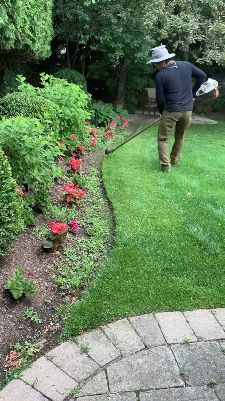 Berkebun