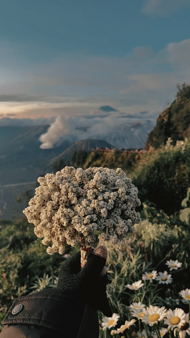 Muncak Gunung