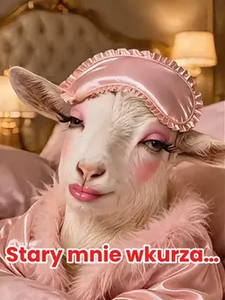 Rady kozy Beaty…
