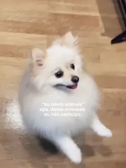 "odeio animais"