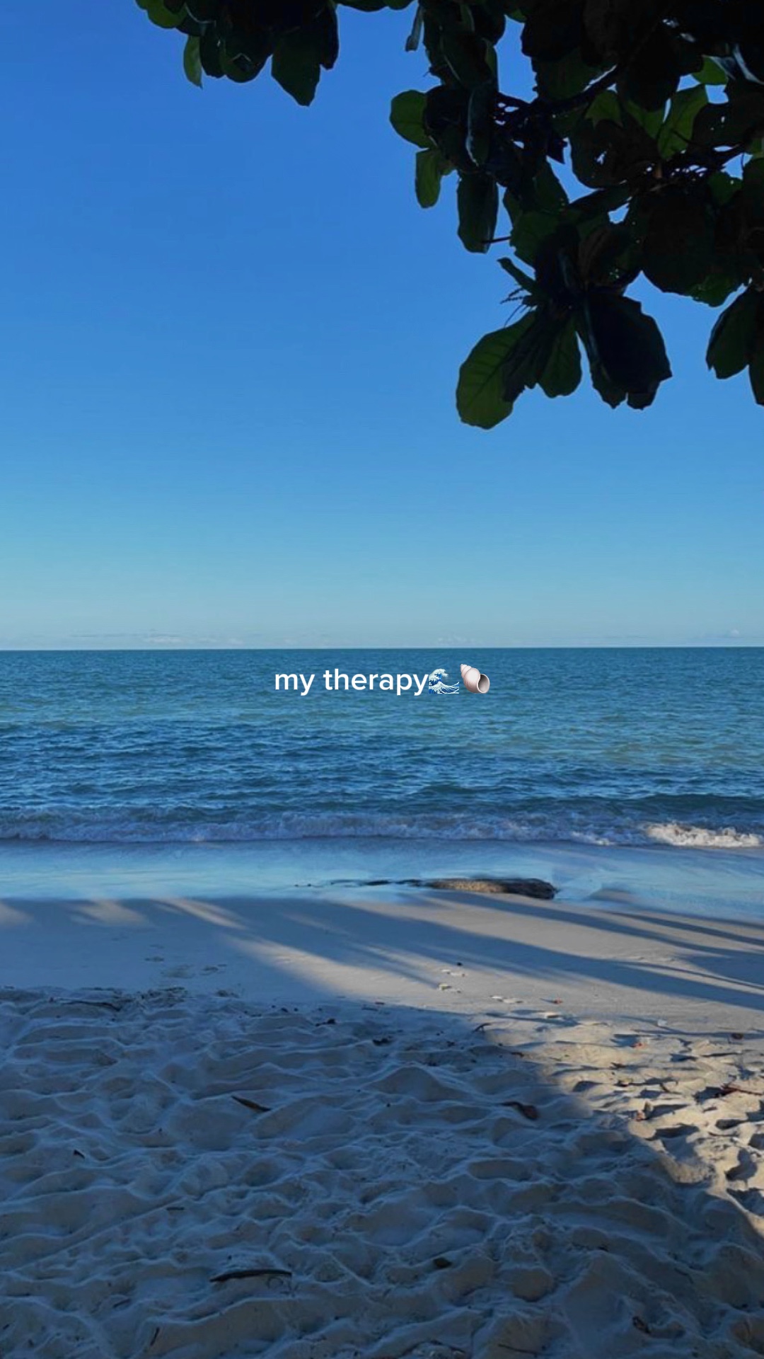 my therapy