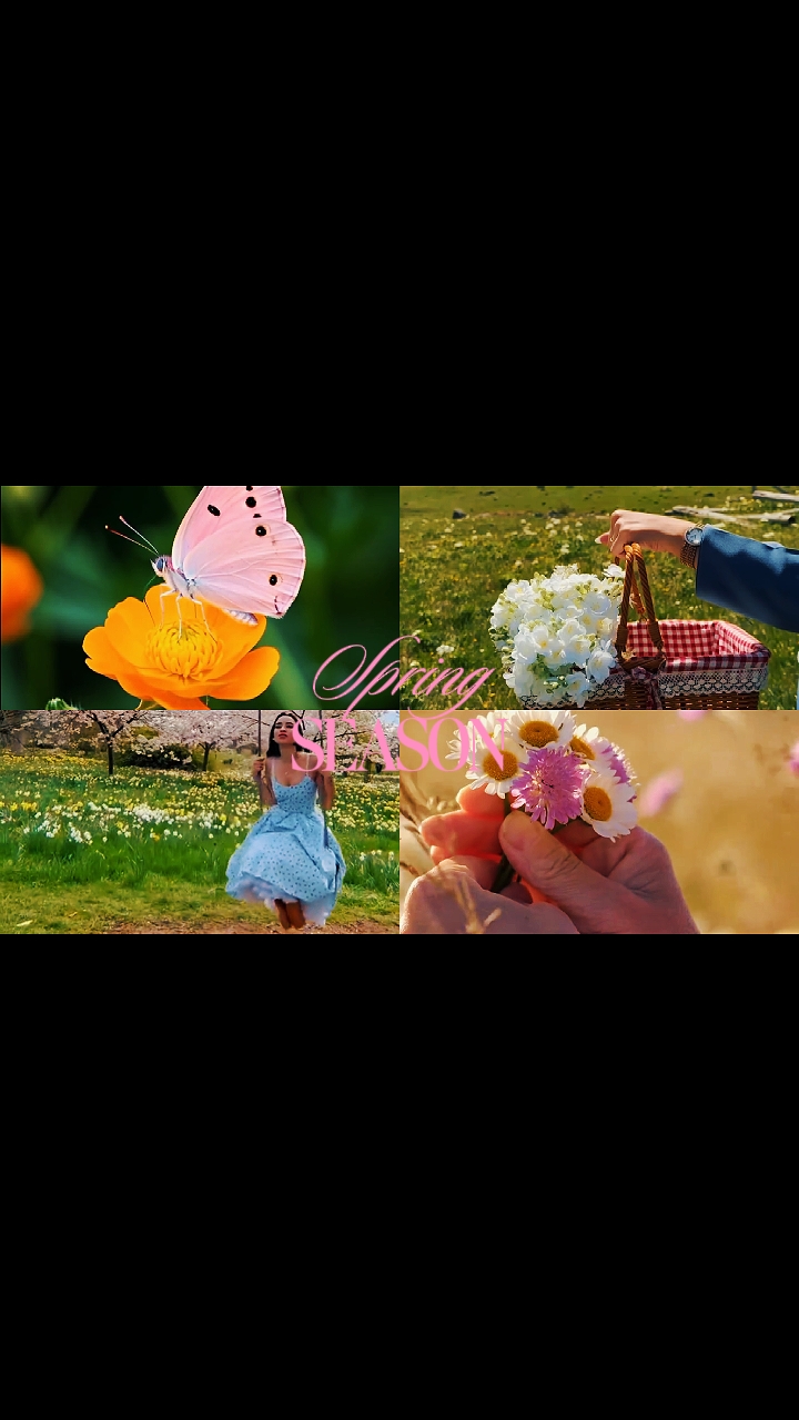 Temporada de primavera 