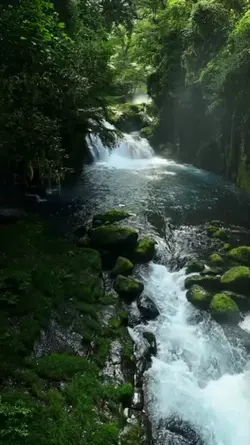 spectacular