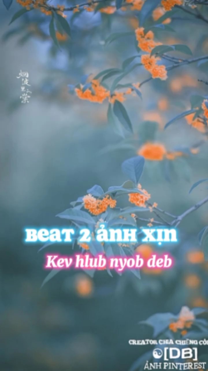 Beat 2 Ảnh xịn 