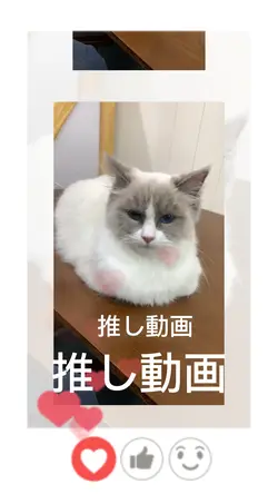シンピ