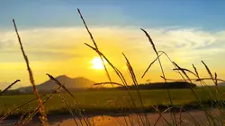 Bình yên