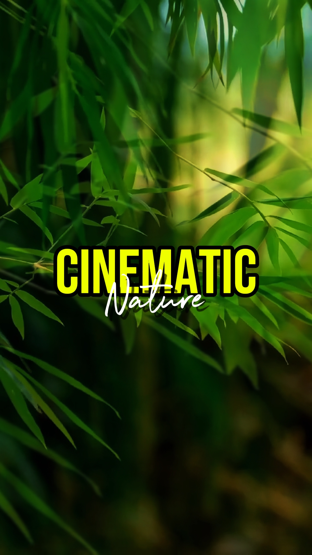 CINEMATIC