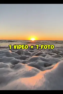 1 video 7 foto