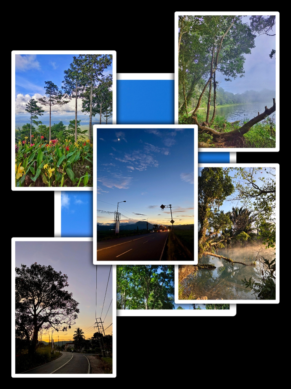 6Pic Trend Aesthetic