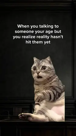 Funny cat face