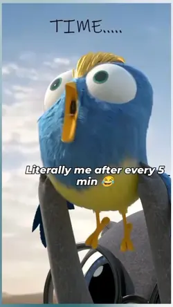 Every 5 minutes