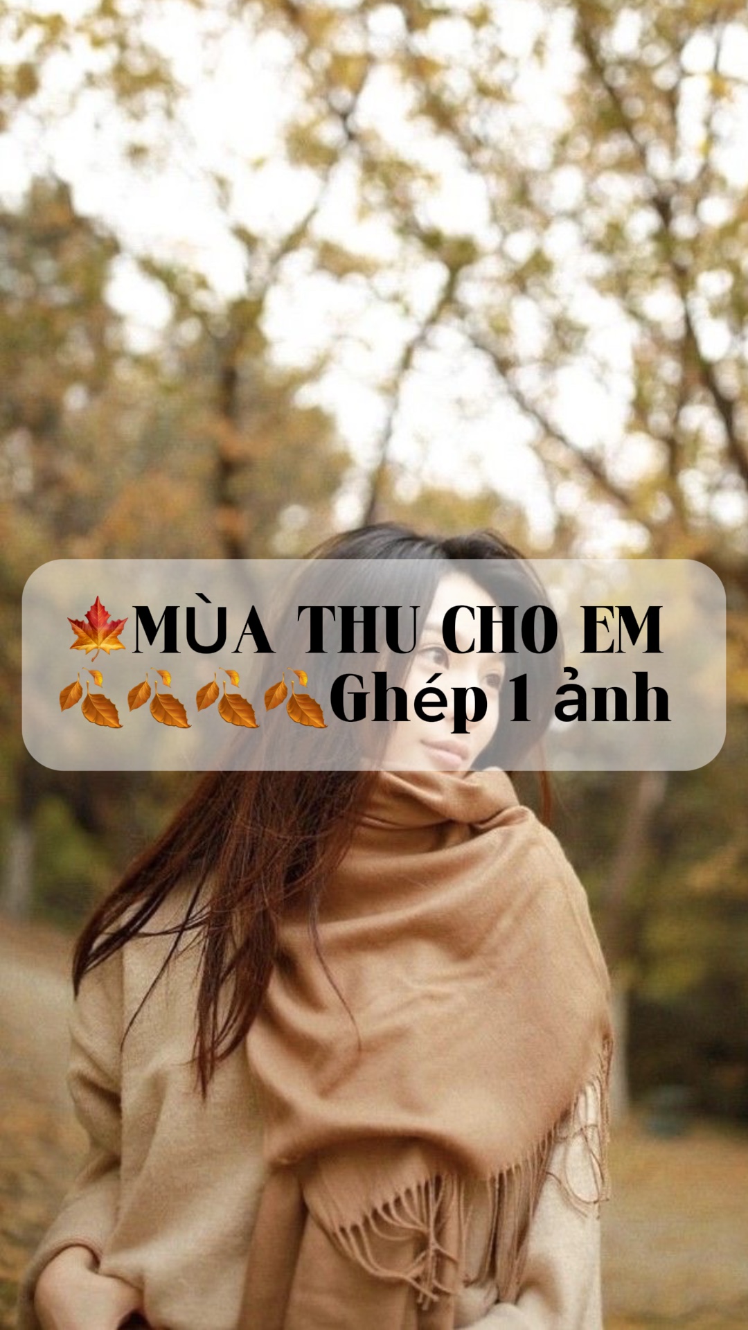 🍁MÙA THU CHO EM