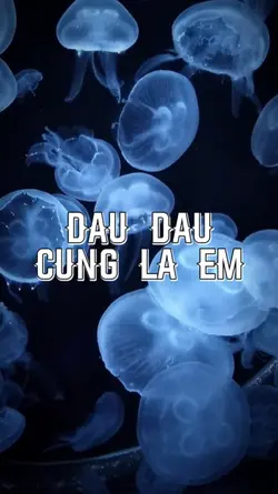 2 ẢNH MÀU NHẠT
